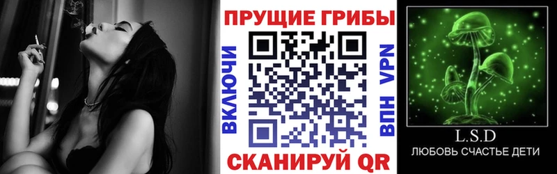 цены наркотик  Сосновый Бор  ОМГ ОМГ вход  Галлюциногенные грибы Psilocybe 